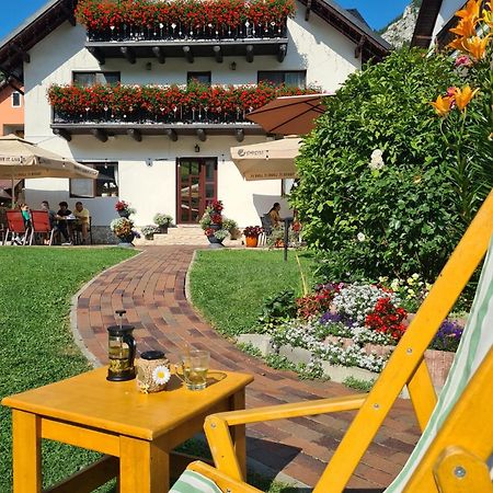 Отель Casa Mia Моечиу-де-Сус Экстерьер фото
