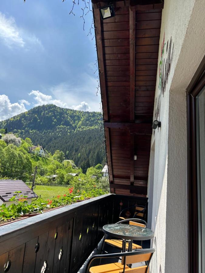 Отель Casa Mia Моечиу-де-Сус Экстерьер фото